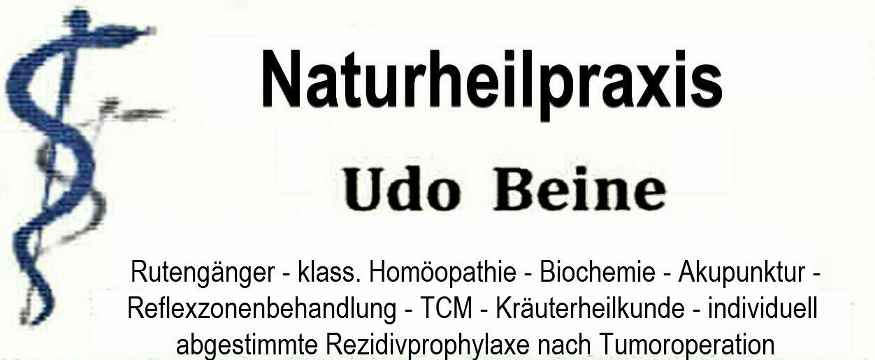 LOGO Naturheilpraxis